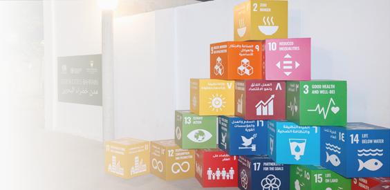 the 17 UN SDG goals 