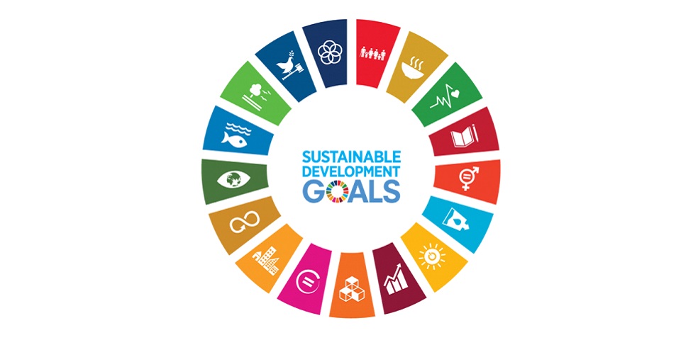 the 17 UN SDG goals 
